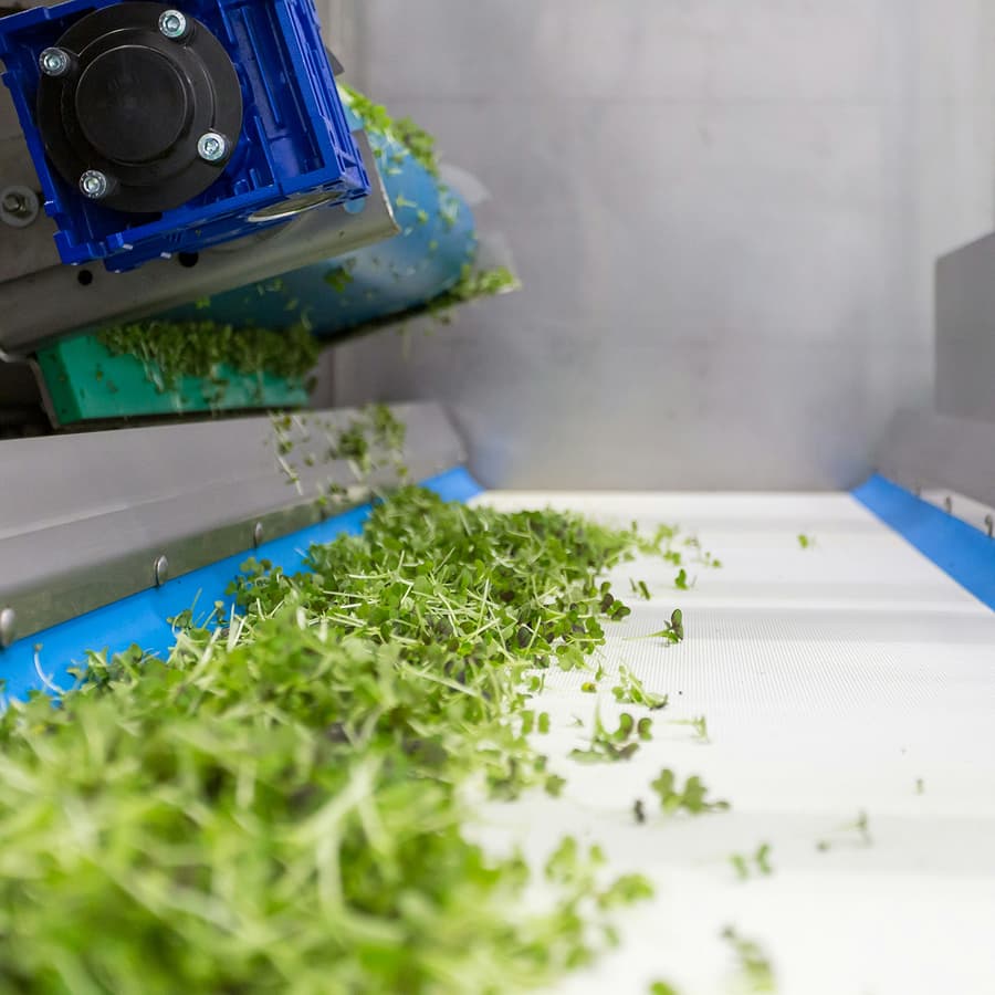 Reducir pérdidas y desperdicios alimentarios